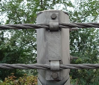 绳索香蕉视频APP在线